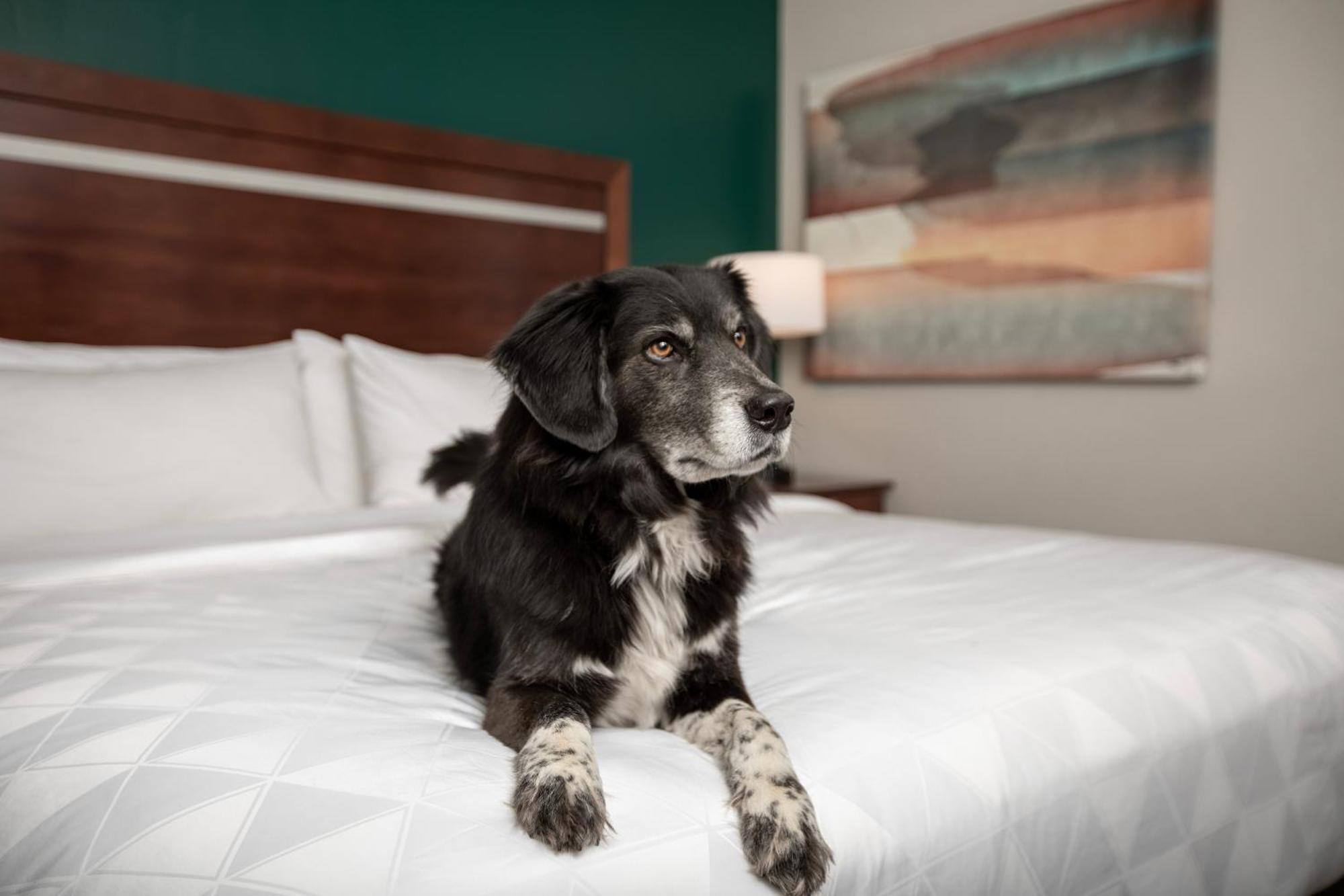 Holiday Inn & Suites Durango Downtown By Ihg Luaran gambar